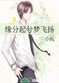 《缘分起兮梦飞扬》