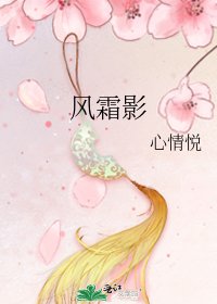 《风霜影》