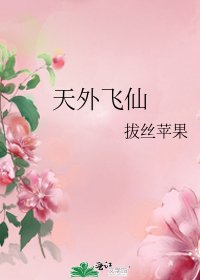 《天外飞仙》