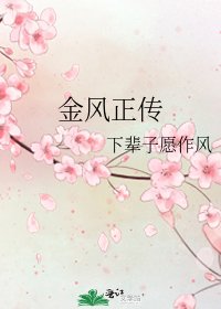 金风正传