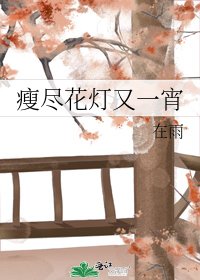 《瘦盡花燈又一宵》