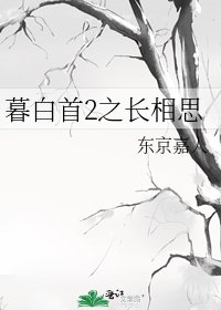 《暮白首2之长相思》