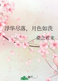 《浮華盡落,月色如洗》
