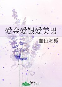 《爱金爱银爱美男》