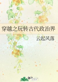 《穿越之玩轉古代政治界》