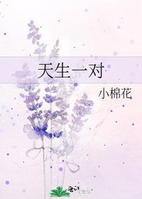 《天生一对》