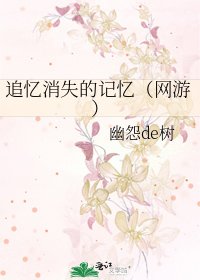《追憶消失的記憶(網遊)》