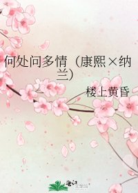 何處問多情（康熙×納蘭）