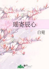 《瑶寄辰心》