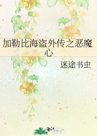 《加勒比海盗外传之恶魔心》