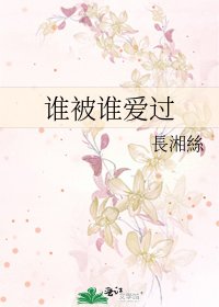 《谁被谁爱过》