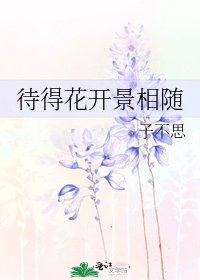 《待得花開景相隨》
