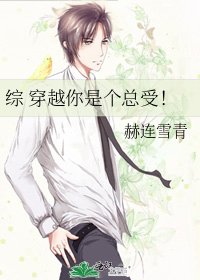 《综 穿越你是个总受!》
