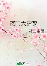 《夜雨大清夢》