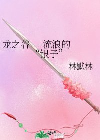 龙之谷----流浪的“银子”