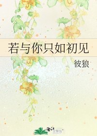 《若与你只如初见》
