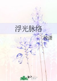 《浮光脈絡》