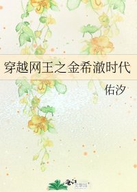 《穿越网王之金希澈时代》