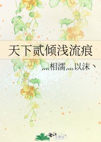天下貳傾淺流痕