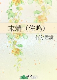 末端（佐鸣）