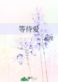 《等待爱》