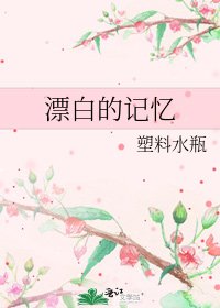 漂沙的记忆