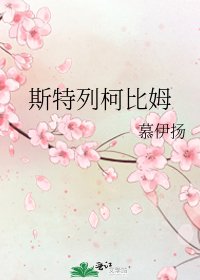 《斯特列柯比姆》