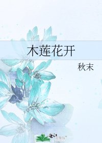 木莲花开
