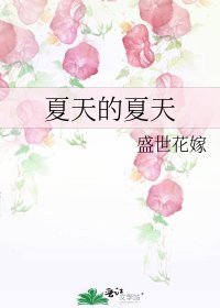 《夏天的夏天》