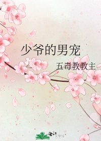 《少爷的男宠》
