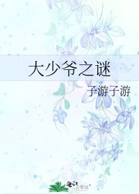 《大少爷之谜》