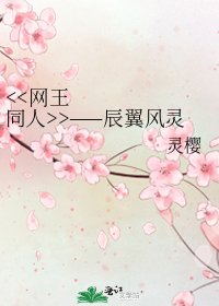 >——辰翼风灵
