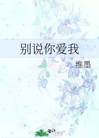 《别说你爱我》