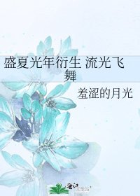 《盛夏光年衍生 流光飞舞》