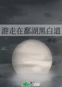 《遊走在鄱湖黑白道》
