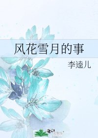 《风花雪月的事》
