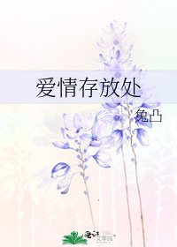 《爱情存放处》