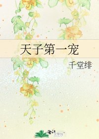 《天子第一宠》