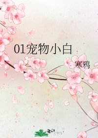 01宠物小白