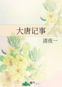 《大唐记事》