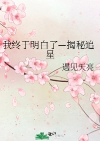 《我終於明白了—揭秘追星》