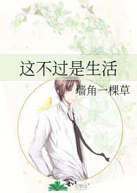《这不过是生活》