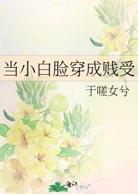 《当小白脸穿成贱受》