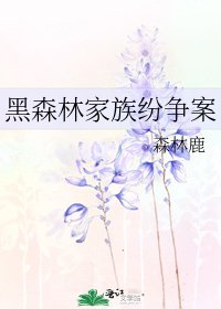 《黑森林家族纷争案》