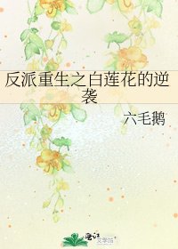 《反派重生之白莲花的逆袭》