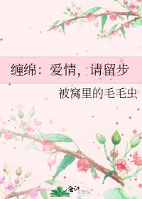 《缠绵:爱情,请留步》