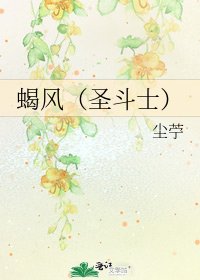 《蠍風(聖鬥士)》