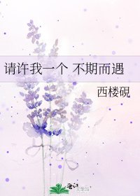 《请许我一个 不期而遇》
