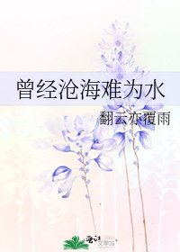 《曾经沧海难为水》