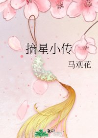 《摘星小傳》
